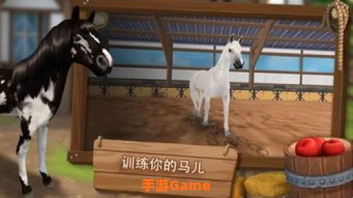 马赛 下载