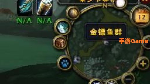 金镖鱼群