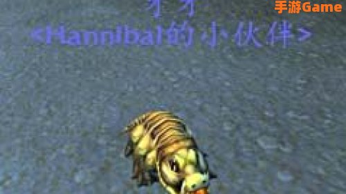 金镖鱼群