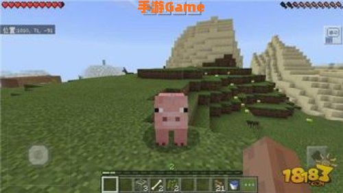 我的世界怎么养动物