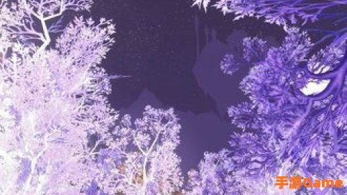 晶歌森林