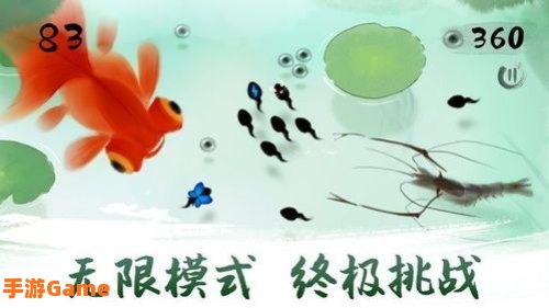 小蝌蚪免费版下载