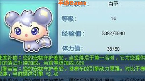 qq飞车宠物